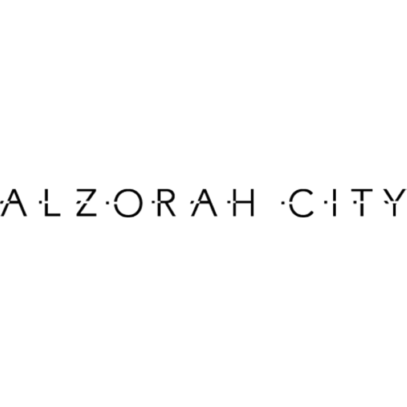 developer icon