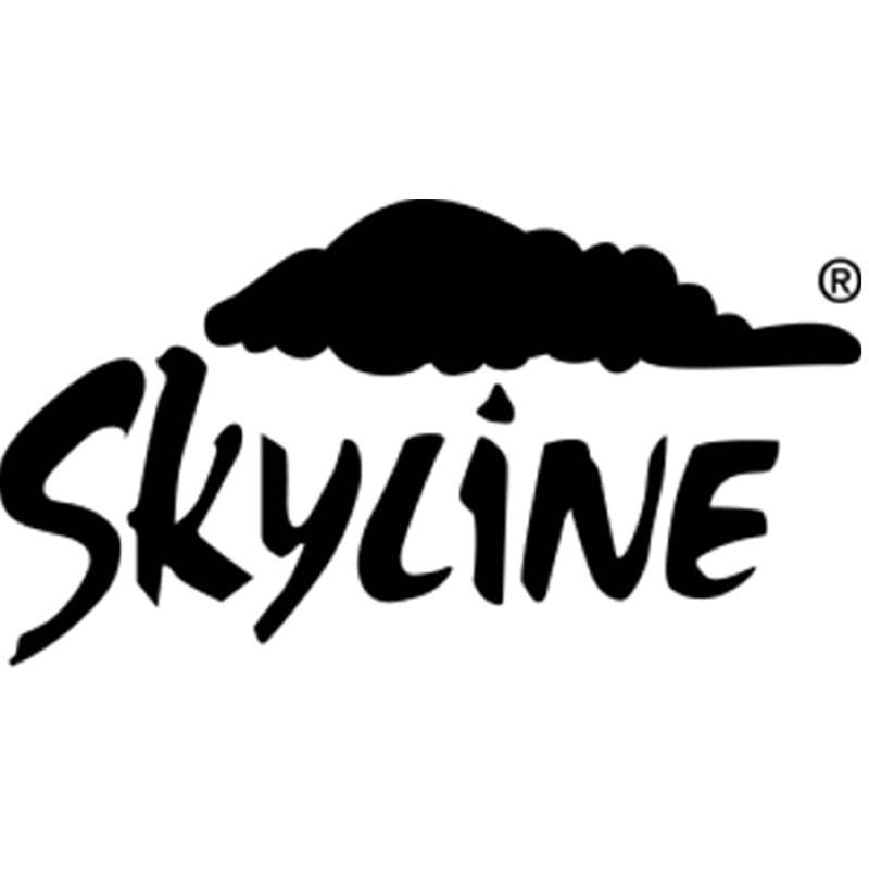 developer icon