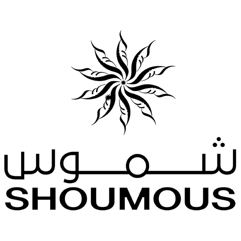 developer icon