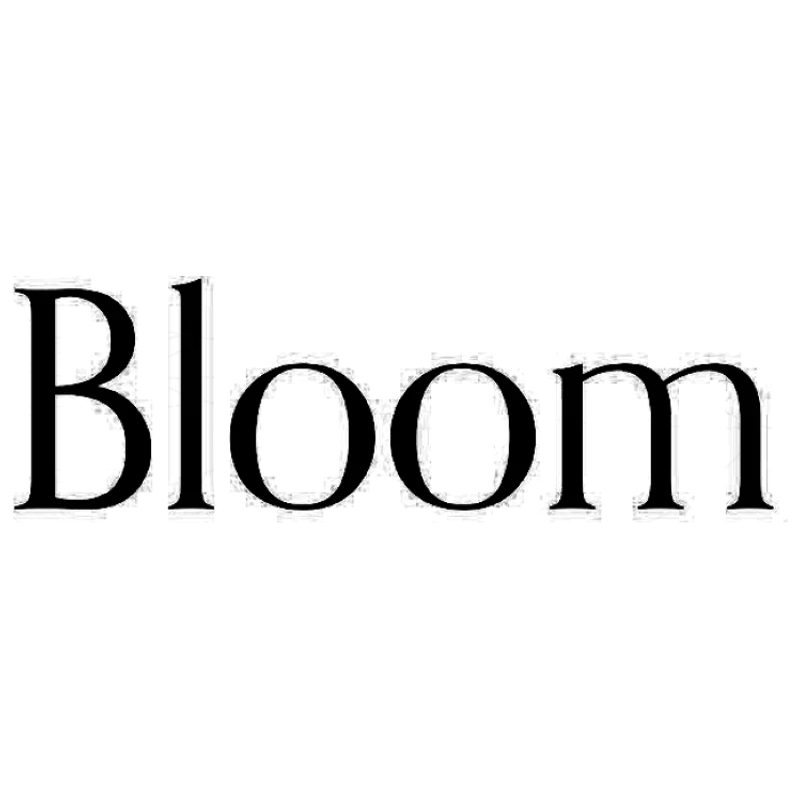 developer icon