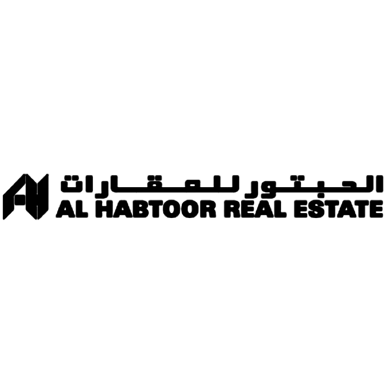developer icon