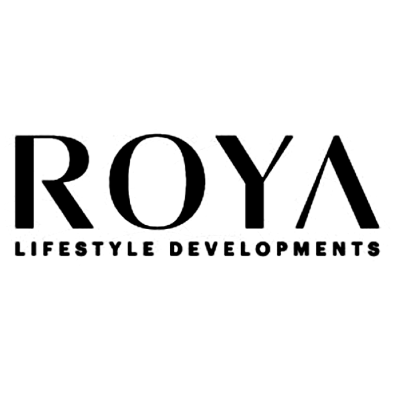 developer icon