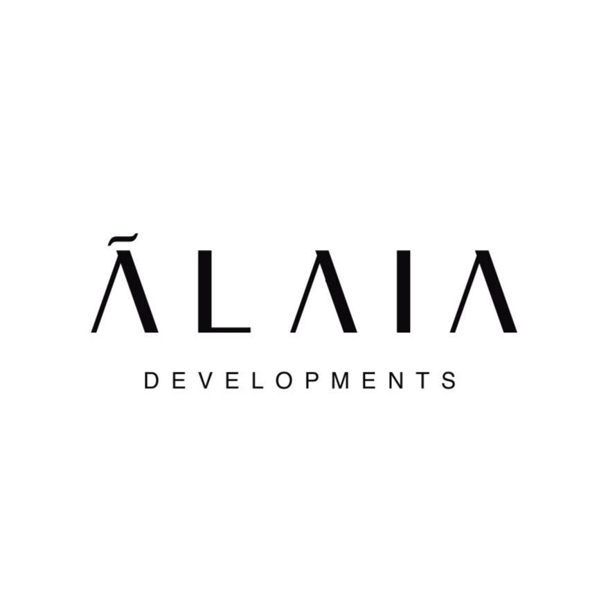 developer icon
