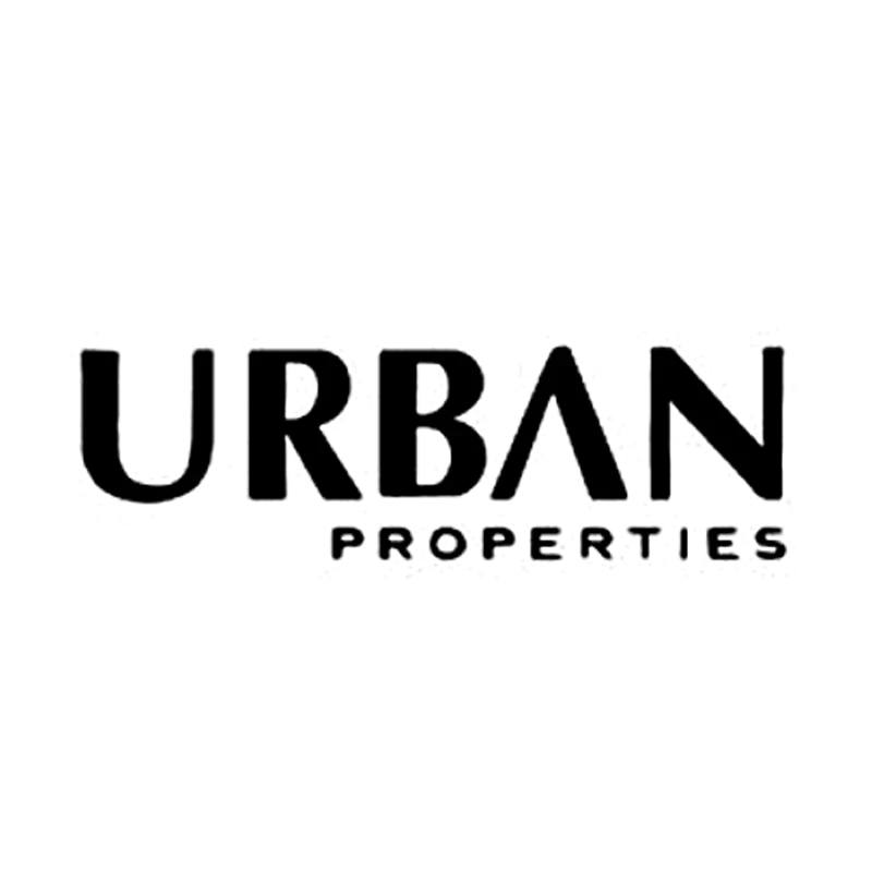 developer icon