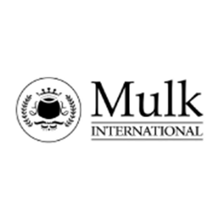 developer logo