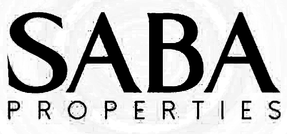 developer icon
