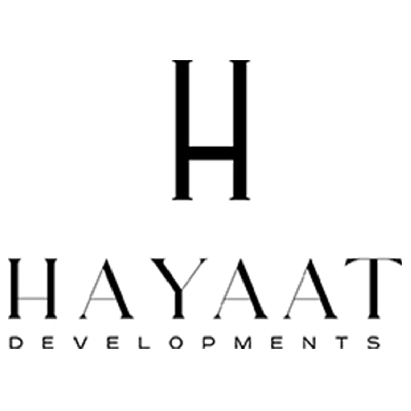 developer icon