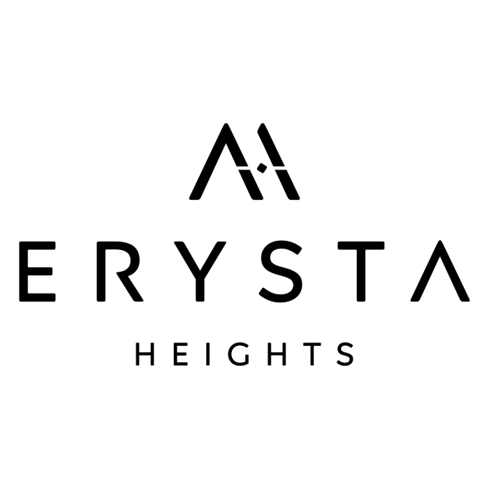 developer icon