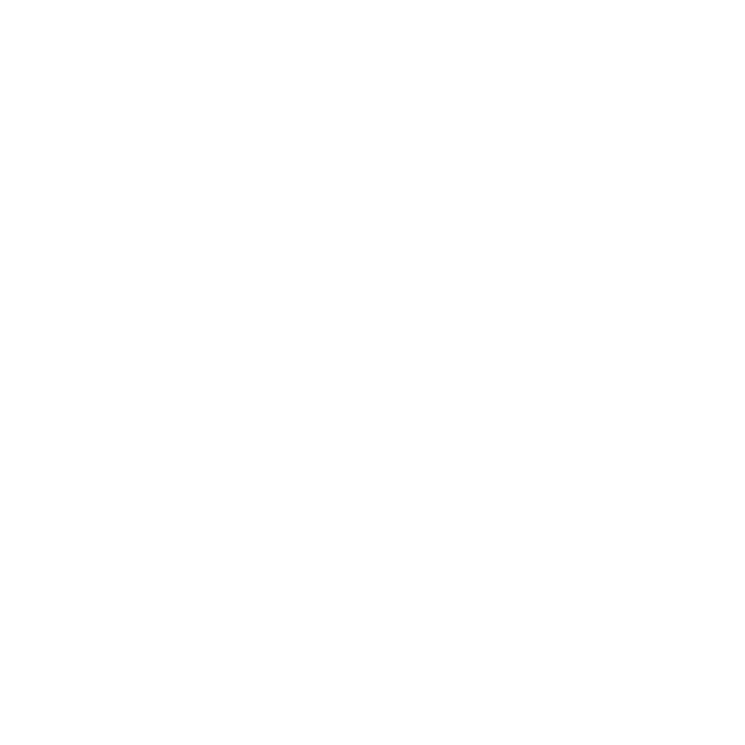developer icon