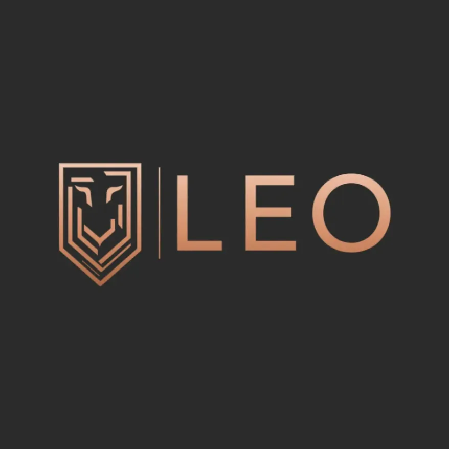 developer icon